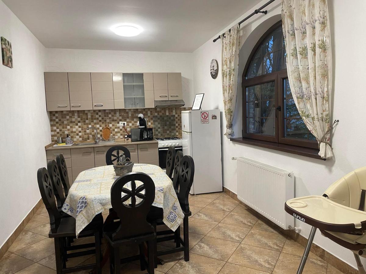 Casa Mesterului Sohodol  Экстерьер фото
